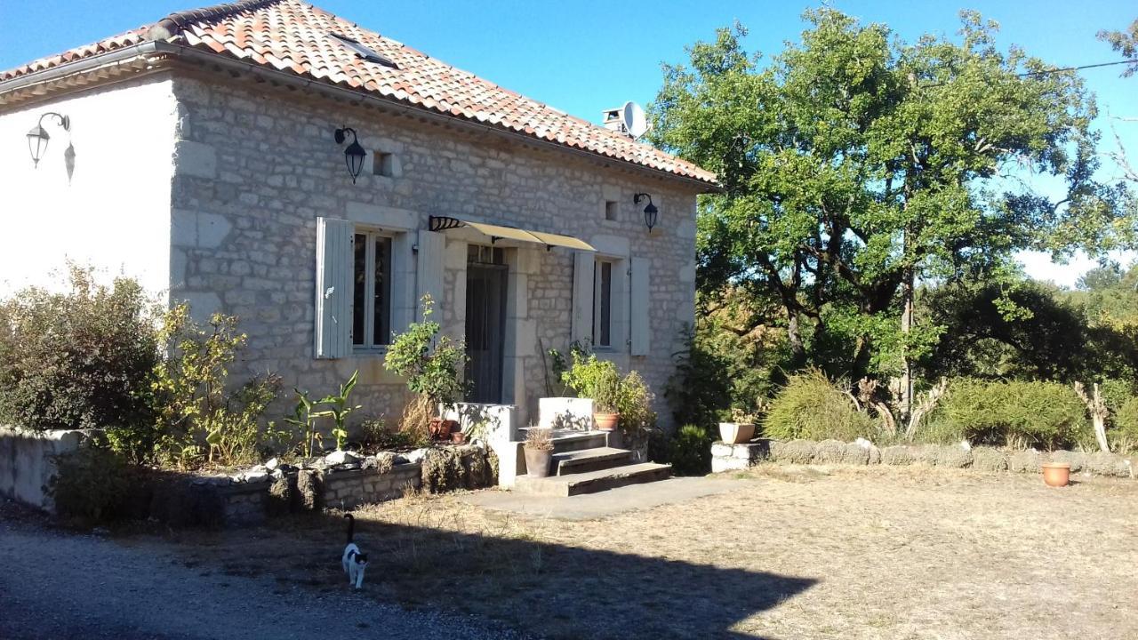 Bed and Breakfast Domaine De Seguela Fargues  Exteriér fotografie
